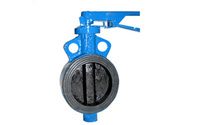 CI-Butterfly-Valve